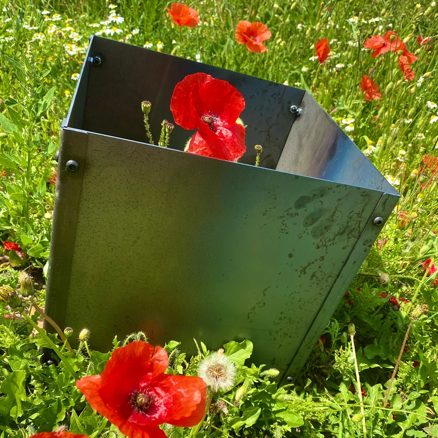 Cubic Flat-Pack Rustic Steel Planter - Image 19