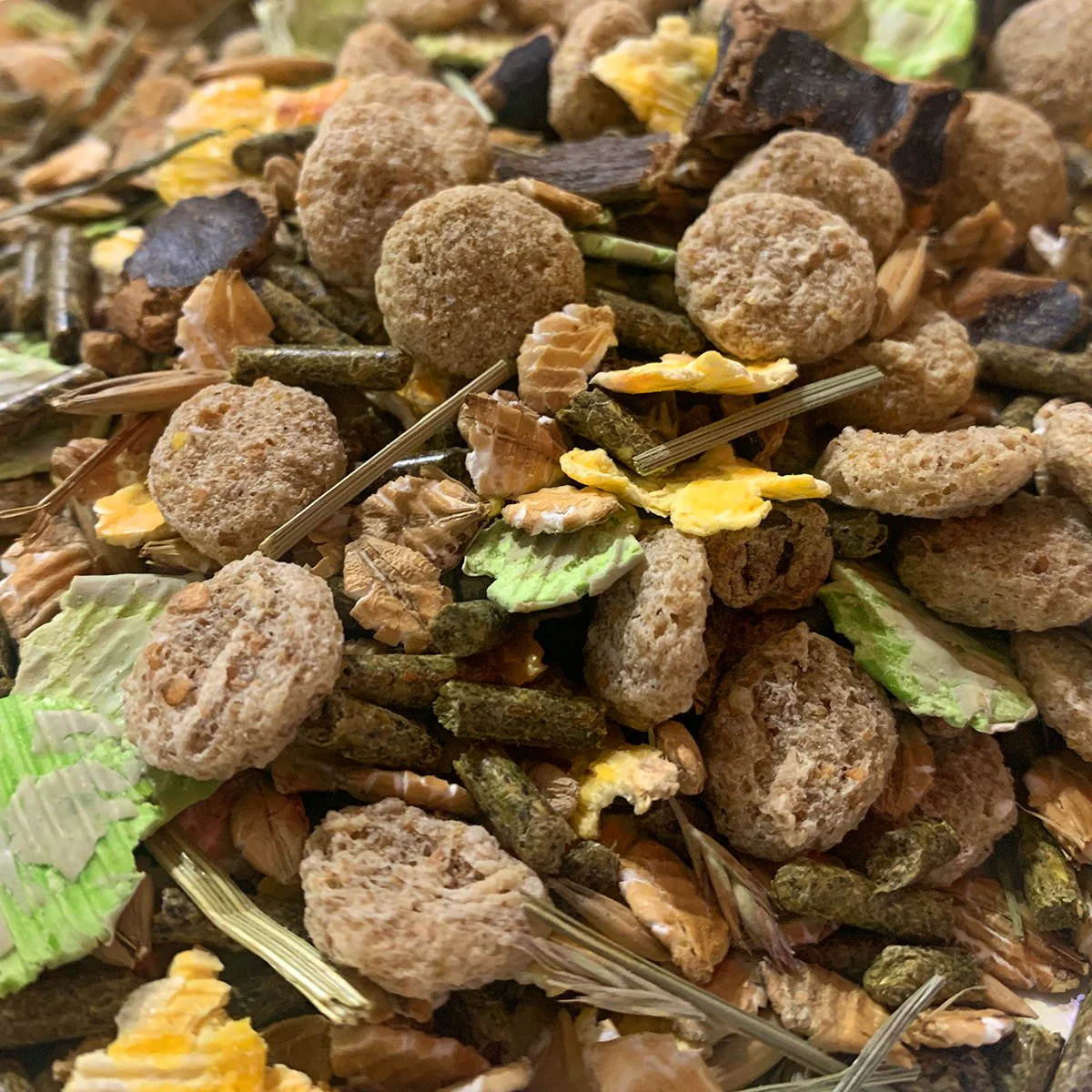 Jake's Farm Yard Pet Rabbit Starter Kit (3 Items Included) - Image 6