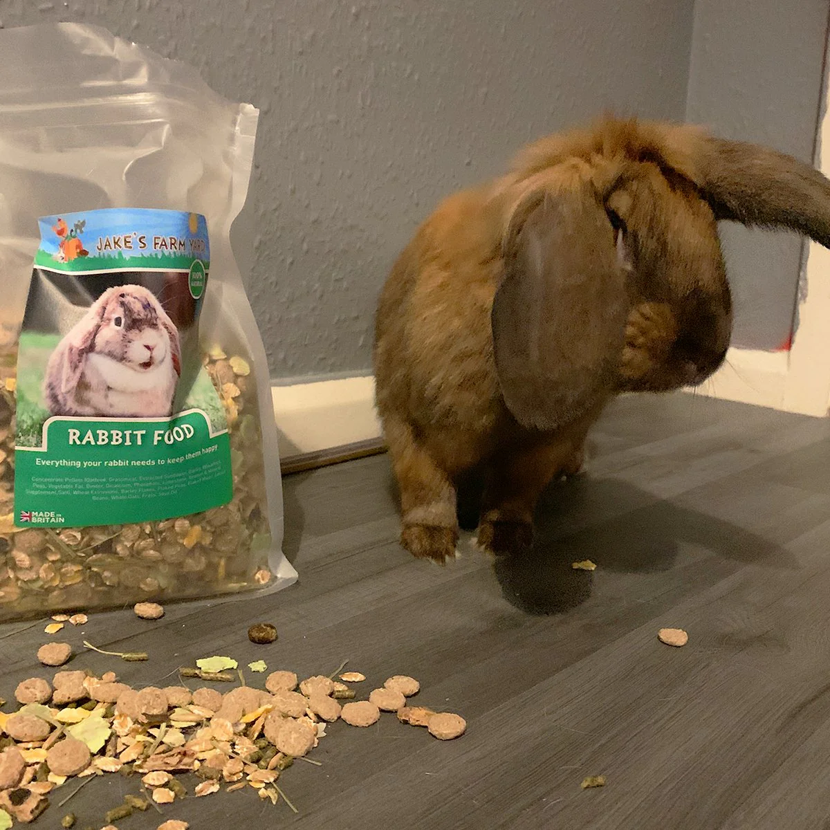 Jake's Farm Yard Pet Rabbit Starter Kit (3 Items Included) - Image 7