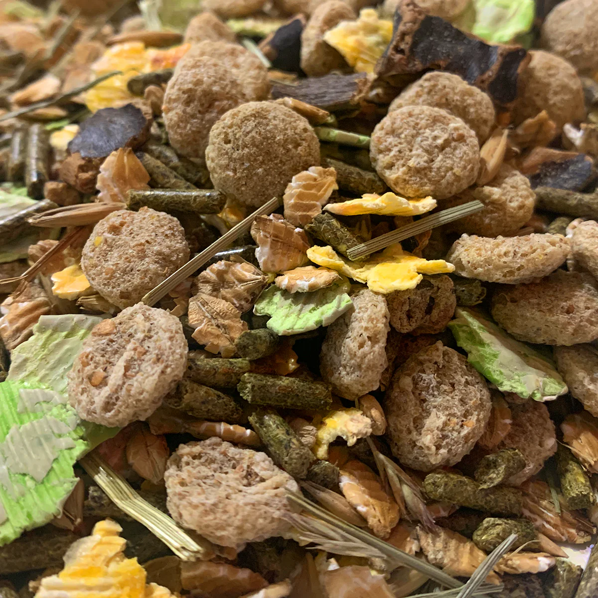 Jake's Farm Yard Rabbit Food (1kg Bag) - Image 5