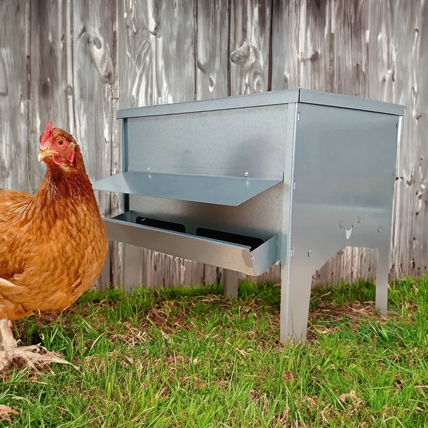 Jake's Farm Yard Large Galvanised Poultry & Chicken Feed Hopper with Roof - Image 4