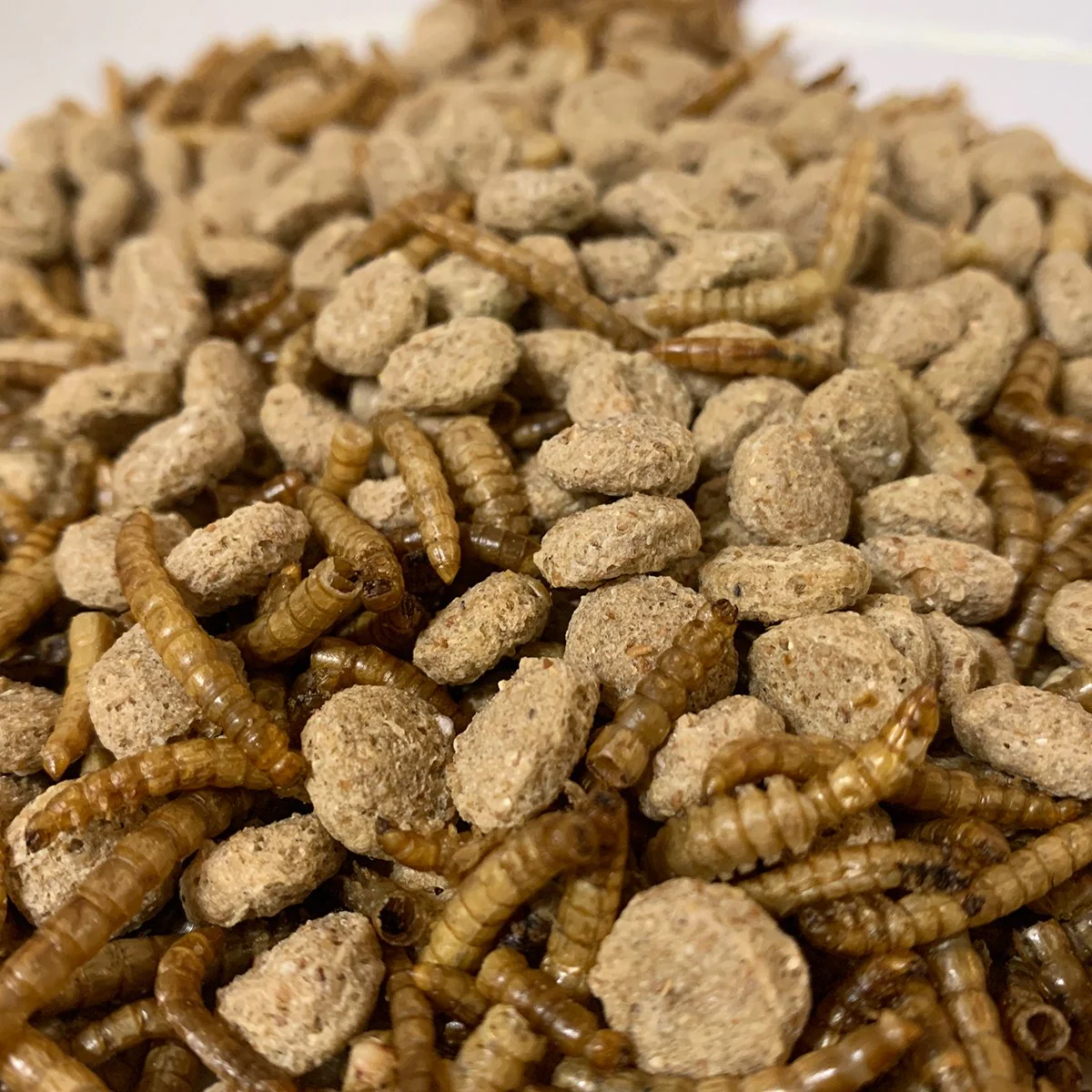 Lucky Duck Food Floating Pellets with Mealworms (150g Bag) - Image 3