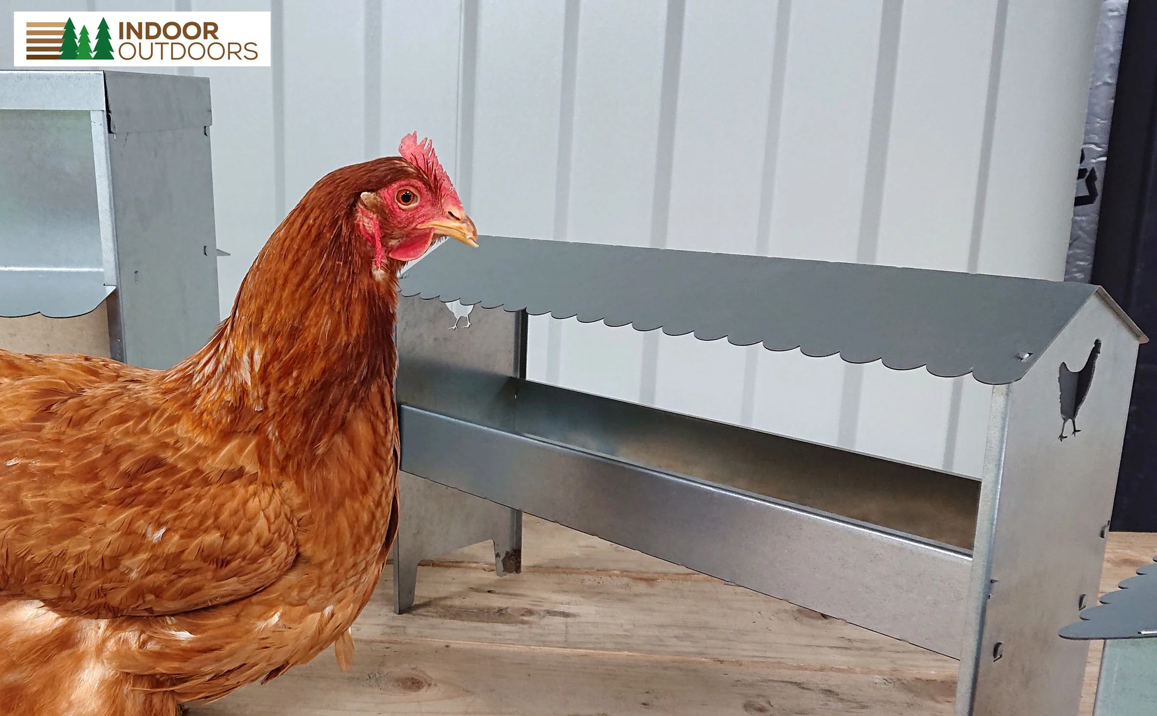 Medium Galvanised Steel Poultry & Chicken Feeder with Roof - Image 14