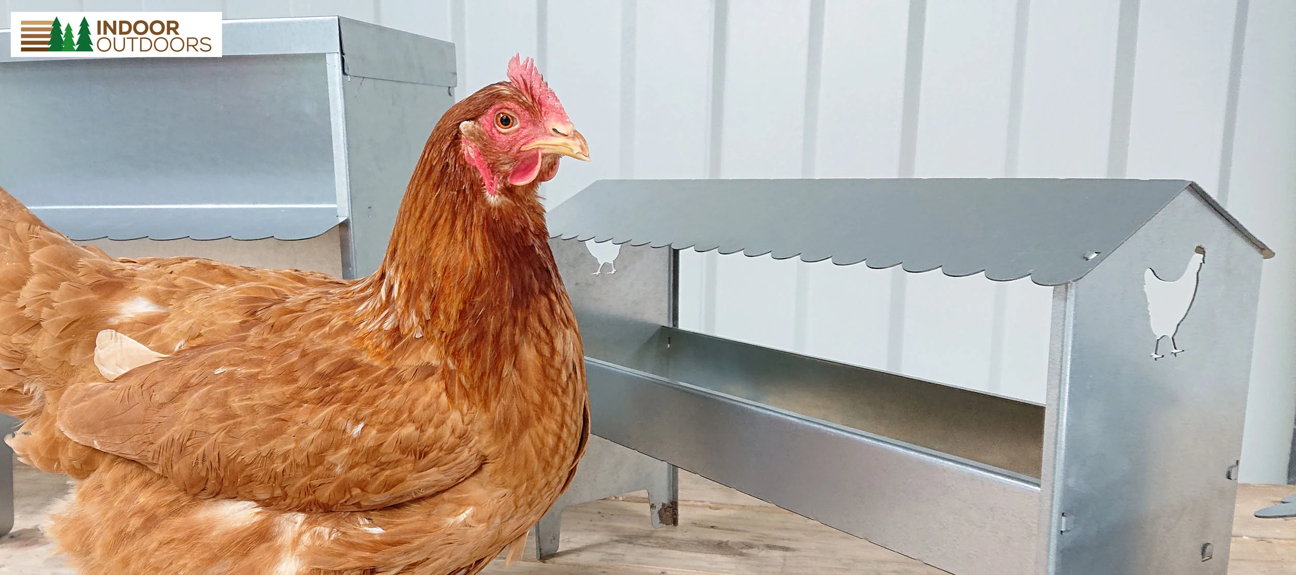 Medium Galvanised Steel Poultry & Chicken Feeder with Roof - Image 15