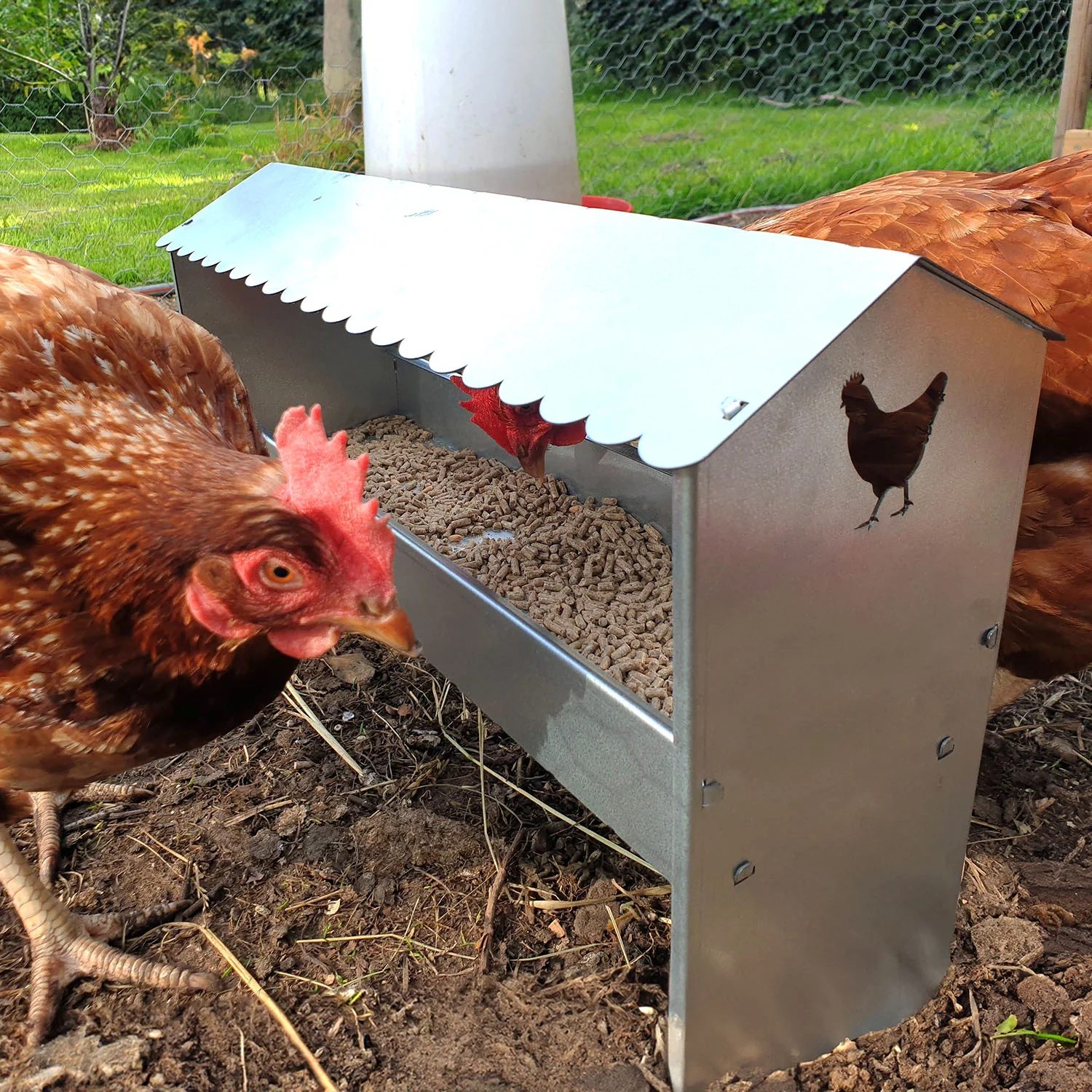 Medium Galvanised Steel Poultry & Chicken Feeder with Roof - Image 4