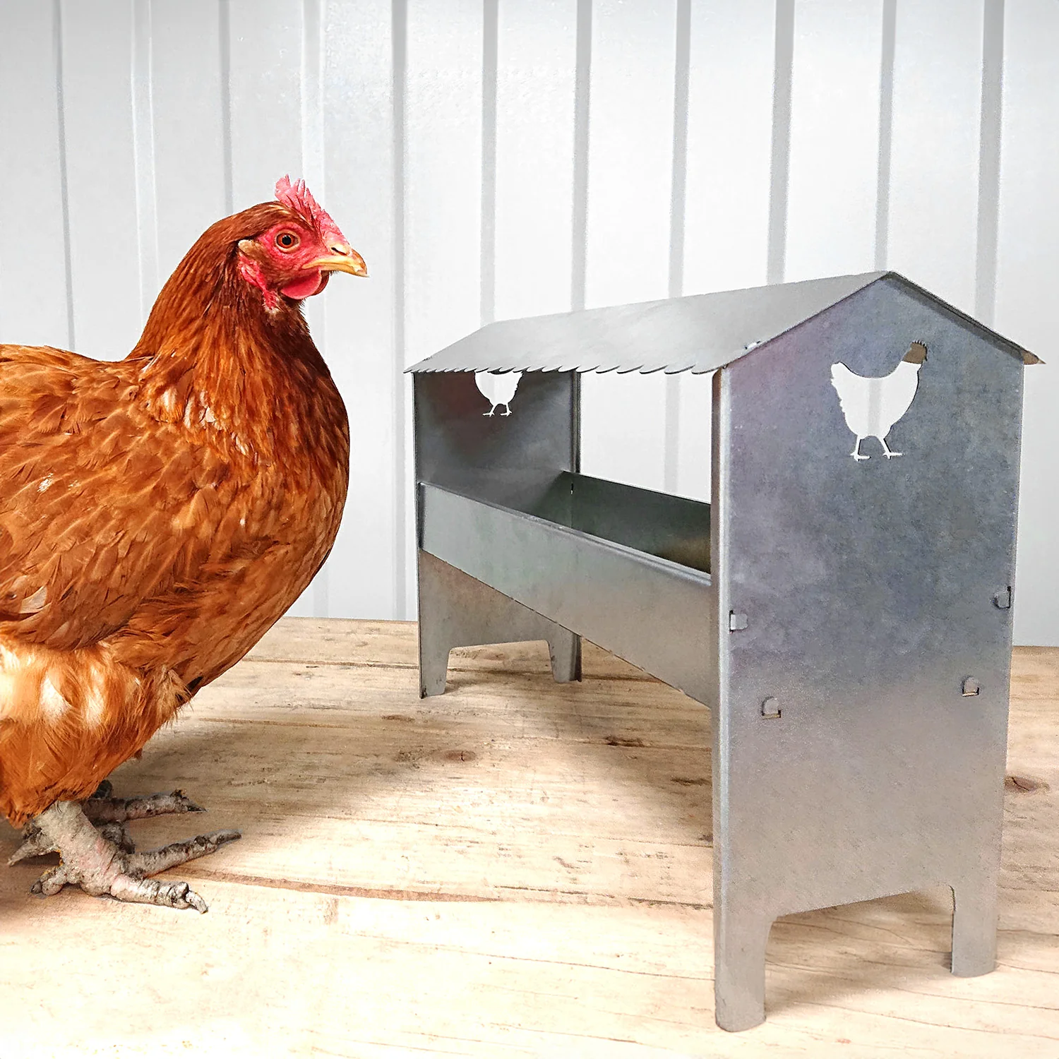 Medium Galvanised Steel Poultry & Chicken Feeder with Roof - Image 5