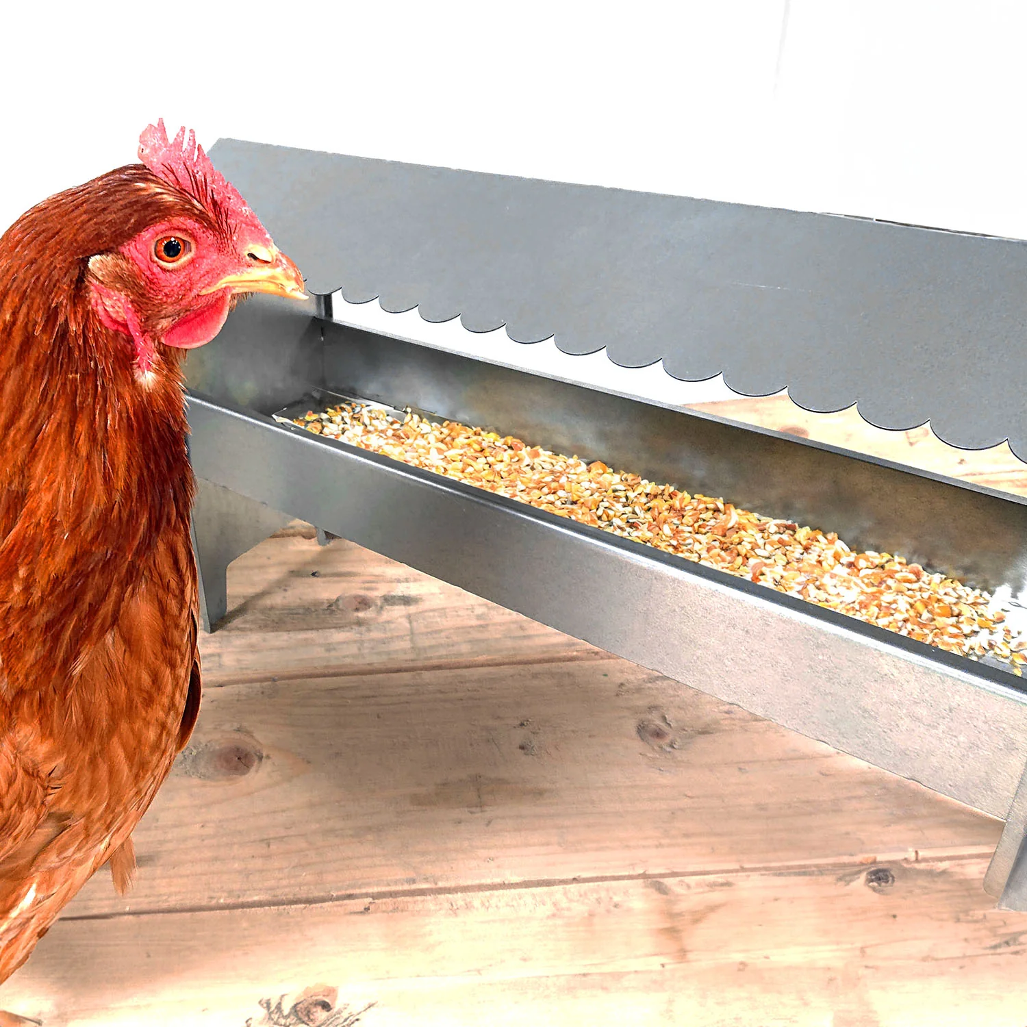 Medium Galvanised Steel Poultry & Chicken Feeder with Roof - Image 6
