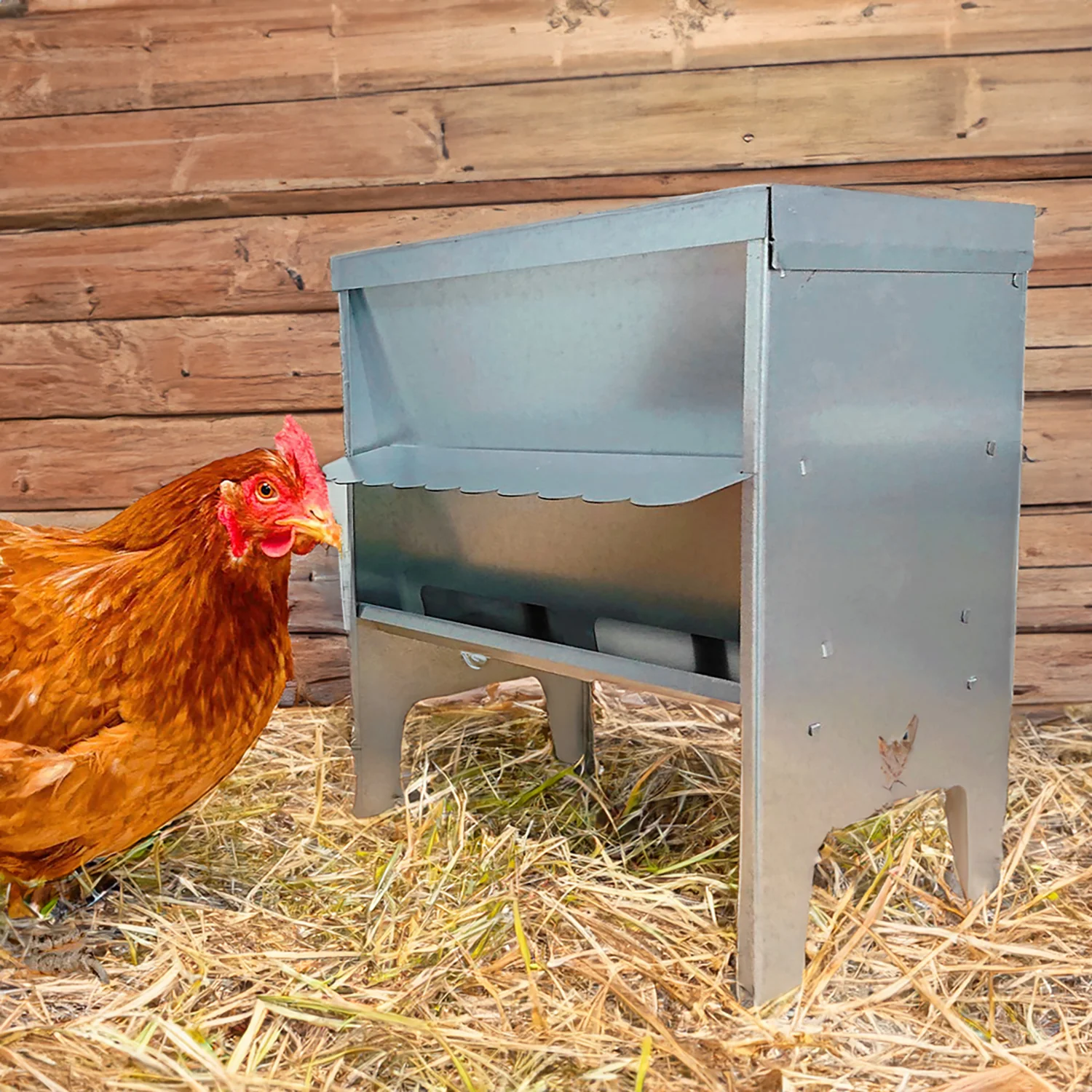 Jake's Farm Yard Medium Chicken & Poultry Galvanised Feed Hopper with Roof - Image 4