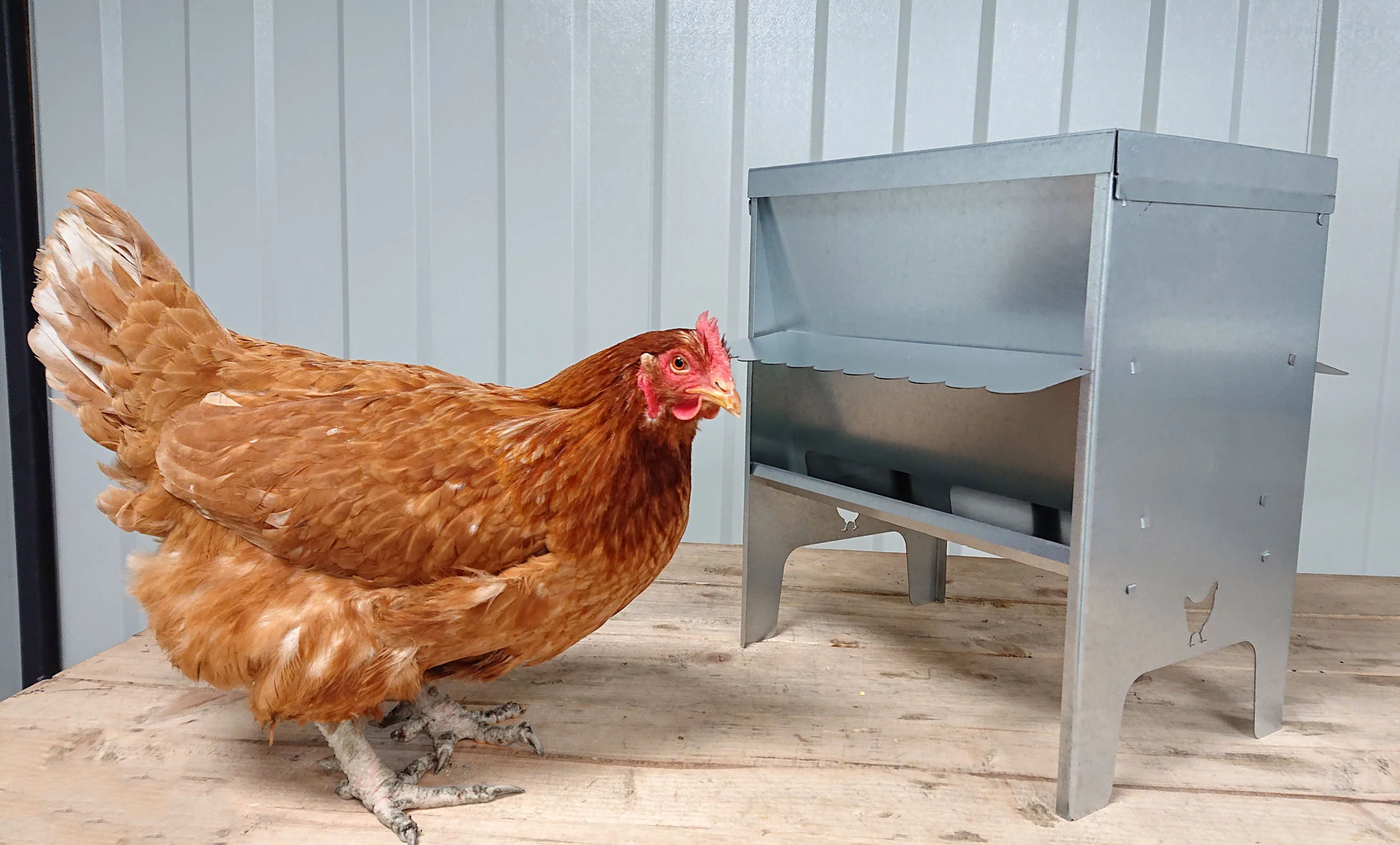 Jake's Farm Yard Medium Chicken & Poultry Galvanised Feed Hopper with Roof - Image 7
