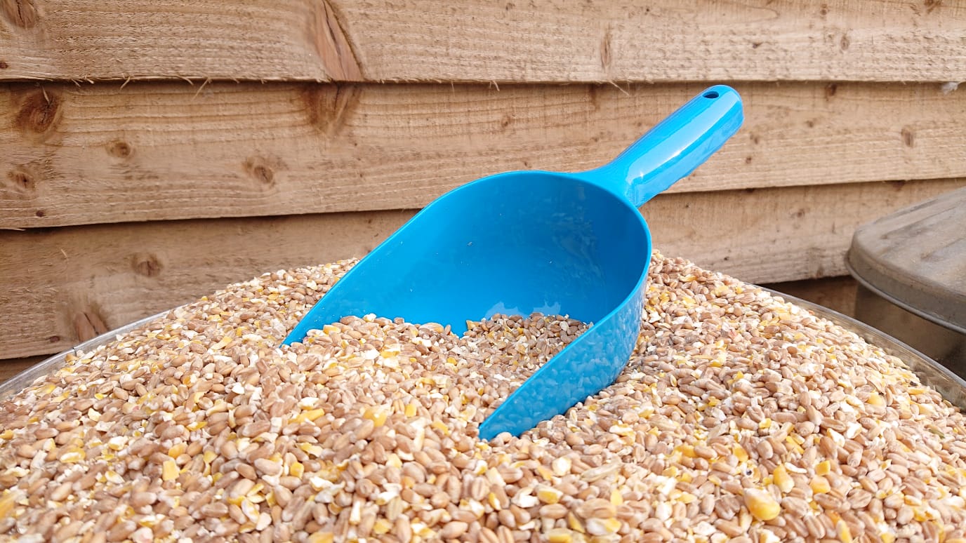 Multi-Purpose Pet Food Scoop (3 Colours Available) - Image 4