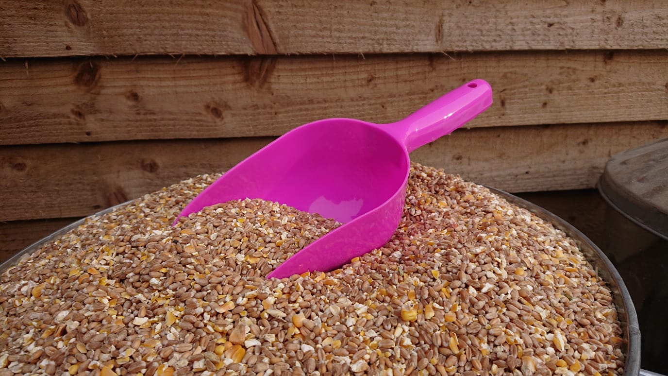 Multi-Purpose Pet Food Scoop (3 Colours Available) - Image 5
