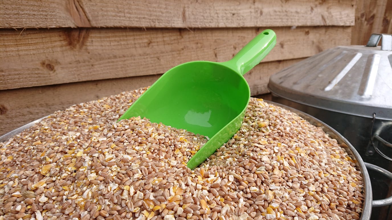 Multi-Purpose Pet Food Scoop (3 Colours Available) - Image 6