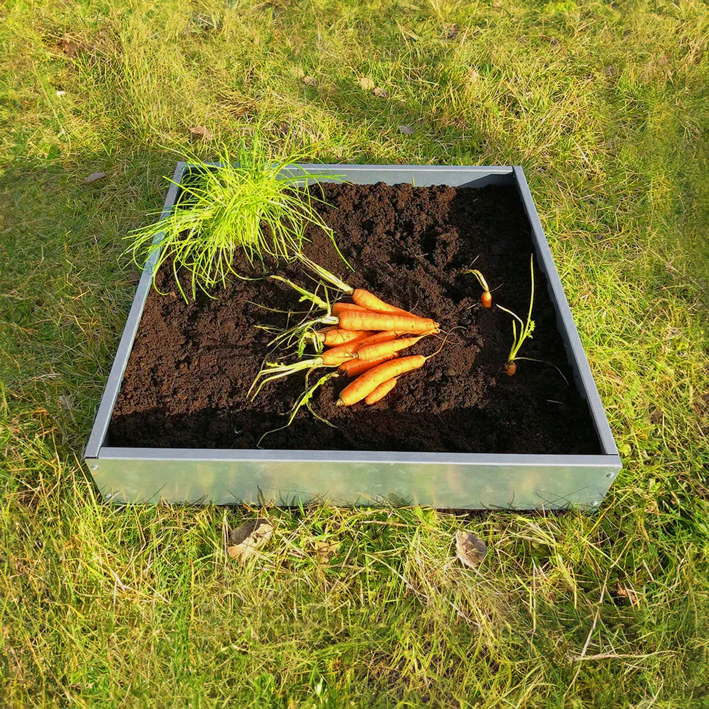 Bellamy Galvanised Steel Edging Raised Bed Kit for Vegetable Patches - Image 6