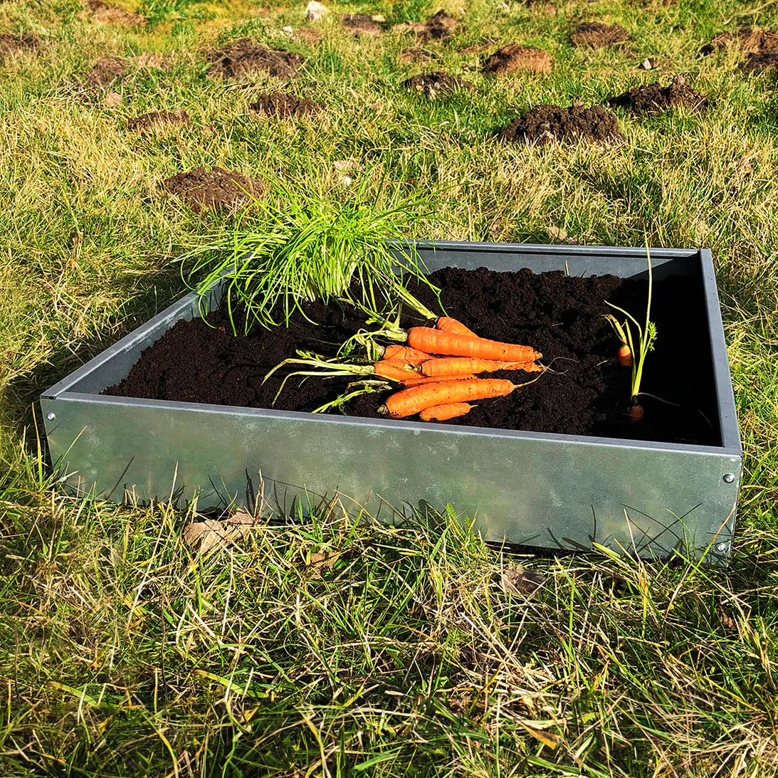 Bellamy Galvanised Steel Edging Raised Bed Kit for Vegetable Patches - Image 7