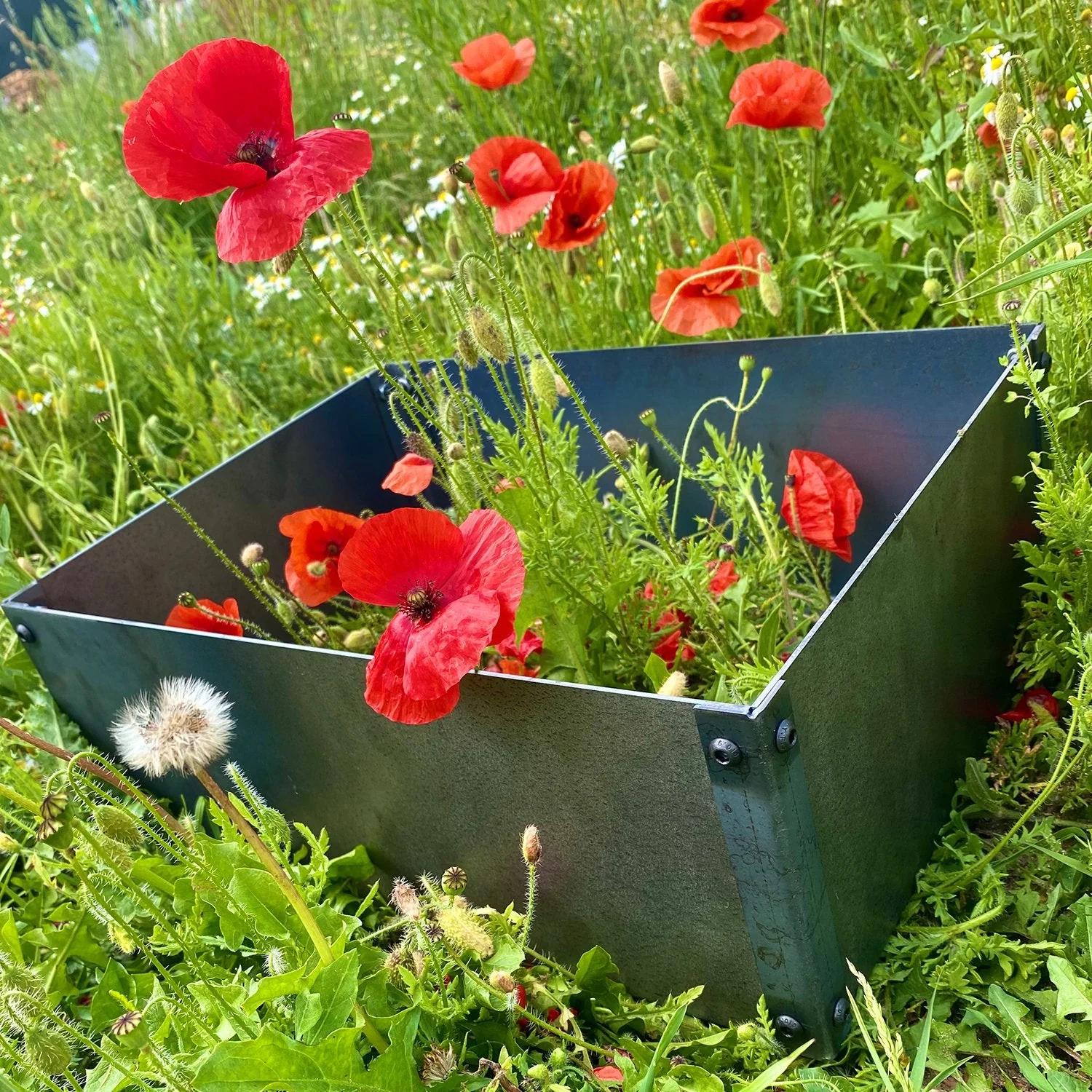 Rectangular Rustic Steel Flat Pack Garden Planter - Image 16