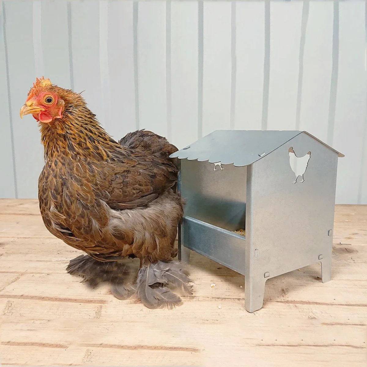 Small Chicken & Poultry Galvanised Feeder with Roof - Image 12