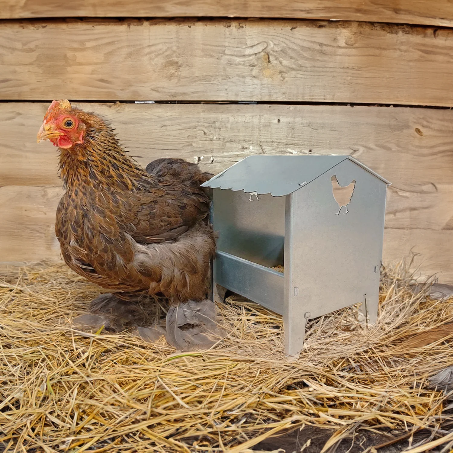 Small Chicken & Poultry Galvanised Feeder with Roof - Image 4