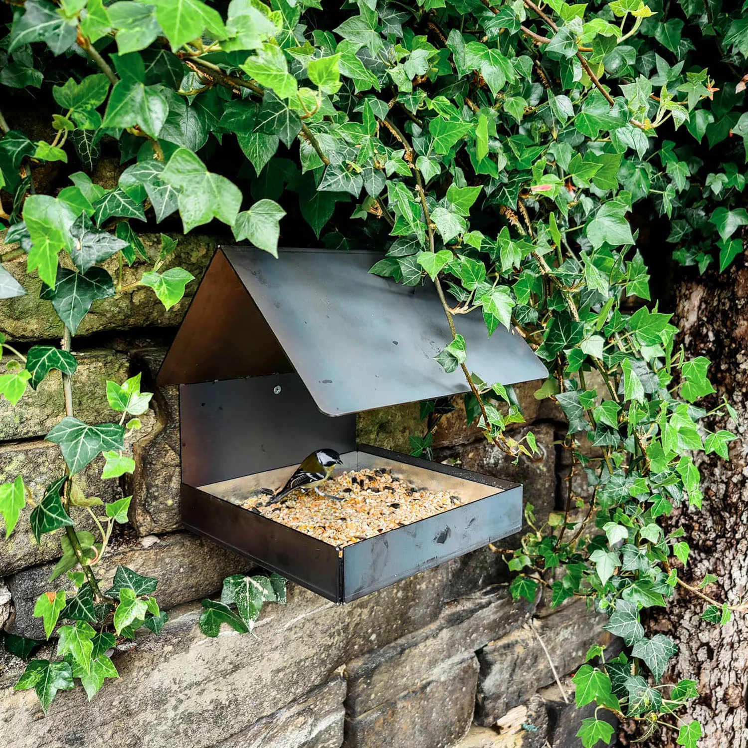 Jake's Farm Yard Wall Mounted & Tree Mounted Rustic Steel Bird Feeder - Image 6