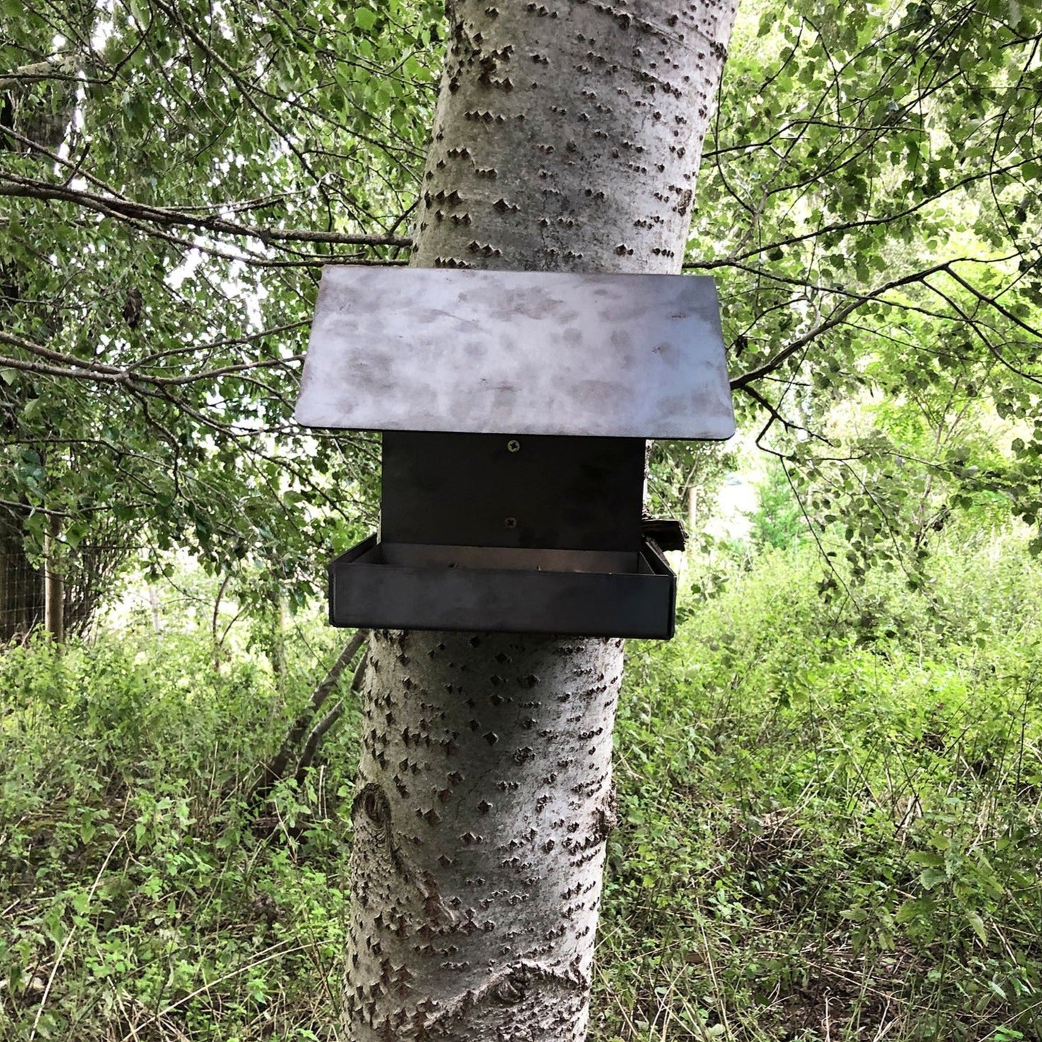 Jake's Farm Yard Wall Mounted & Tree Mounted Rustic Steel Bird Feeder - Image 7