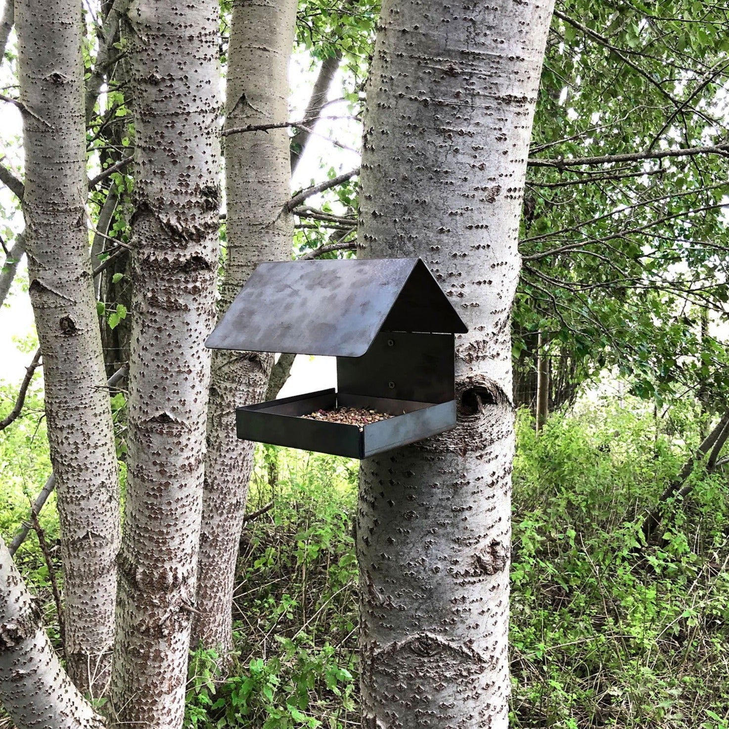 Jake's Farm Yard Wall Mounted & Tree Mounted Rustic Steel Bird Feeder - Image 8