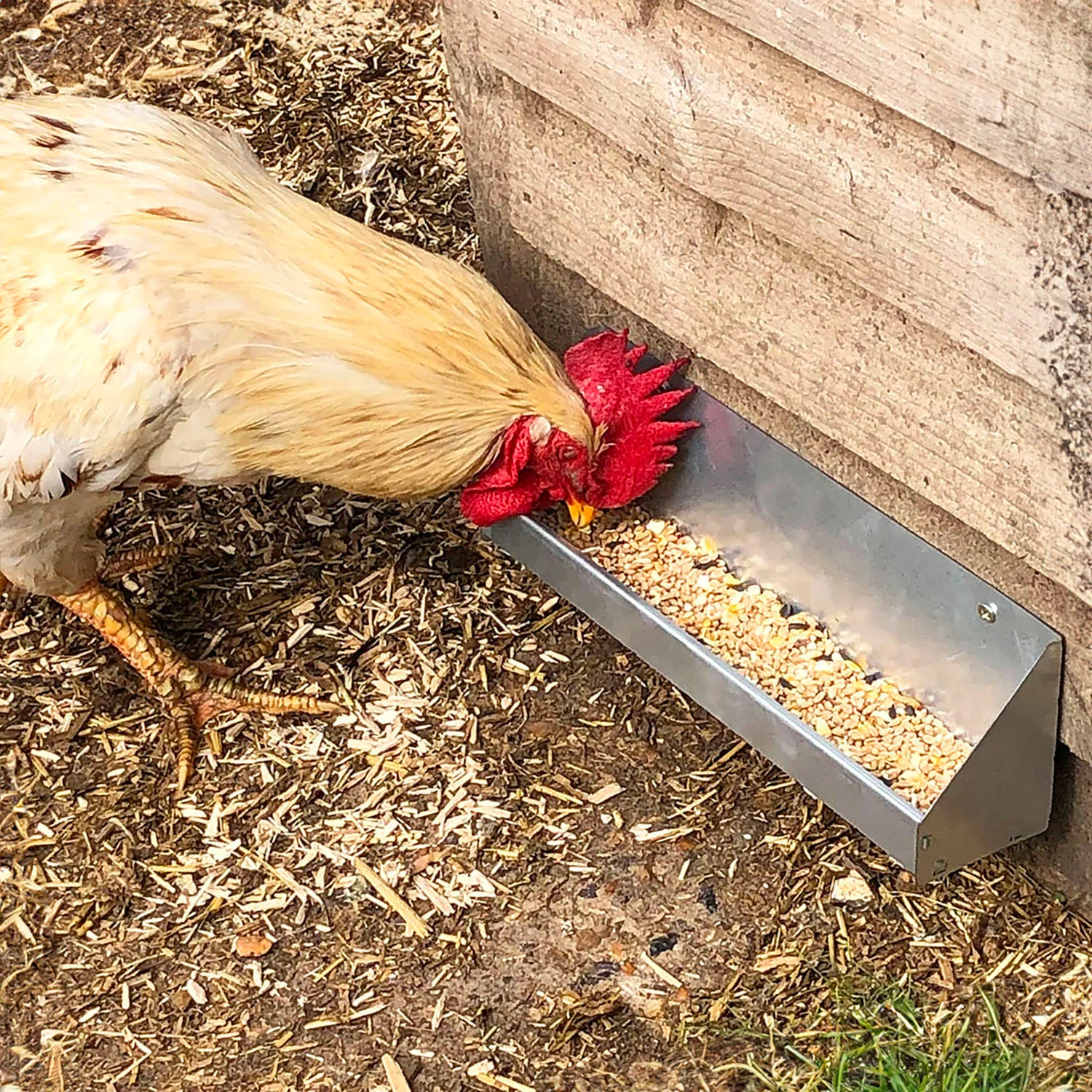 Jake's Farm Yard Small Wall Mounted Chicken & Poultry Trough Feeder - Image 3