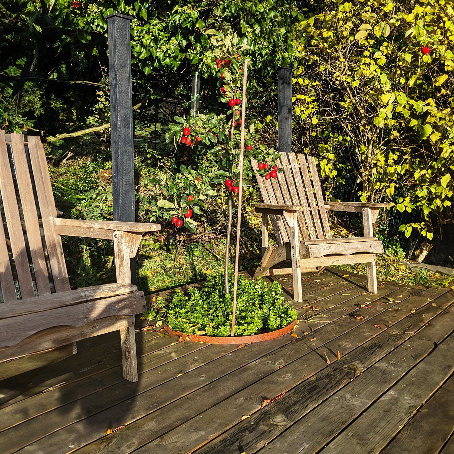 Bellamy Circular Rustic Steel Planter & Tree Ring - Image 11