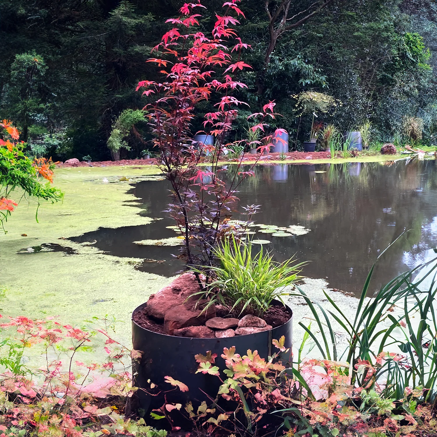 Bellamy Circular Rustic Steel Planter & Tree Ring - Image 12