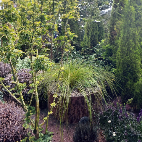 Bellamy Circular Rustic Steel Planter & Tree Ring - Image 13