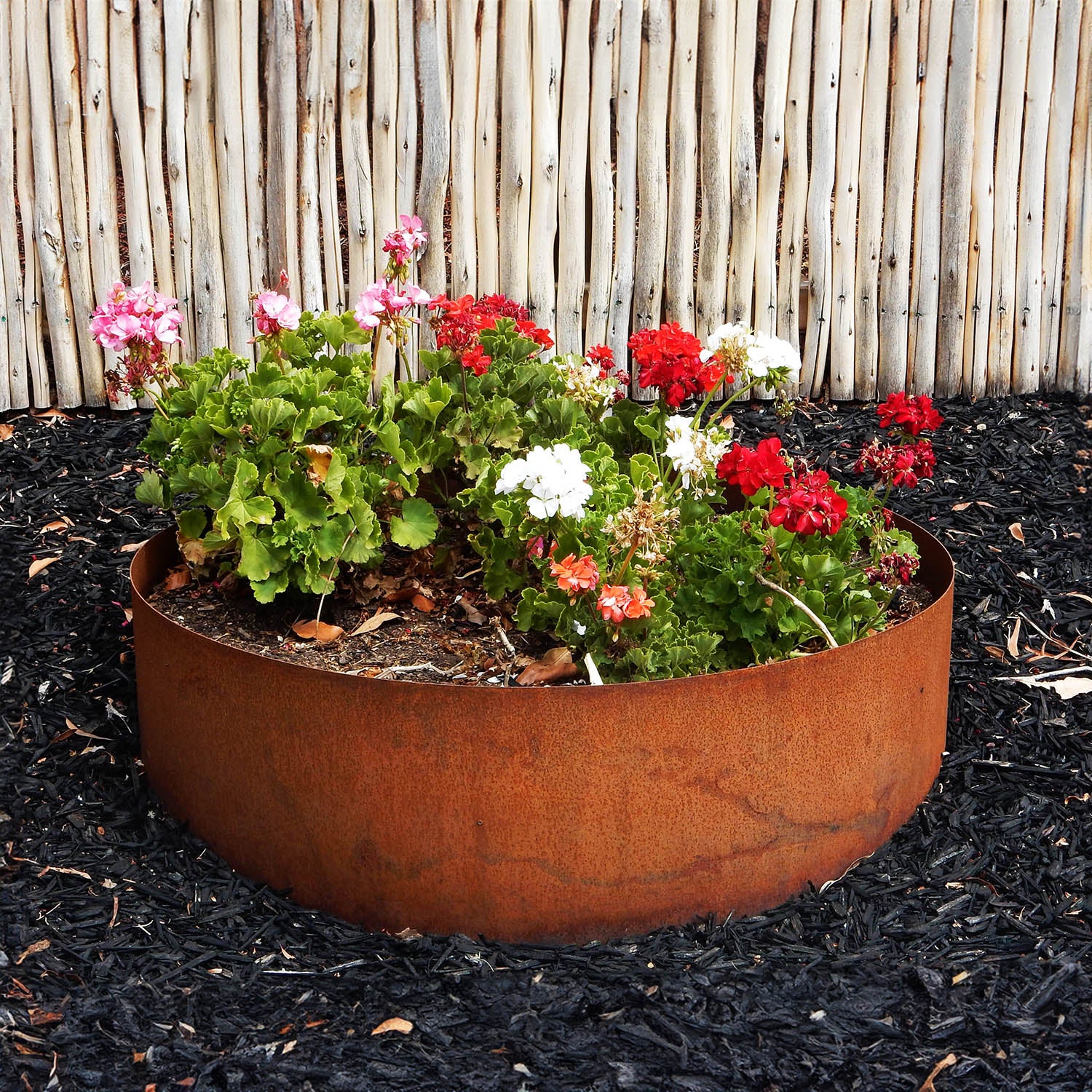Bellamy Circular Rustic Steel Planter & Tree Ring - Image 22