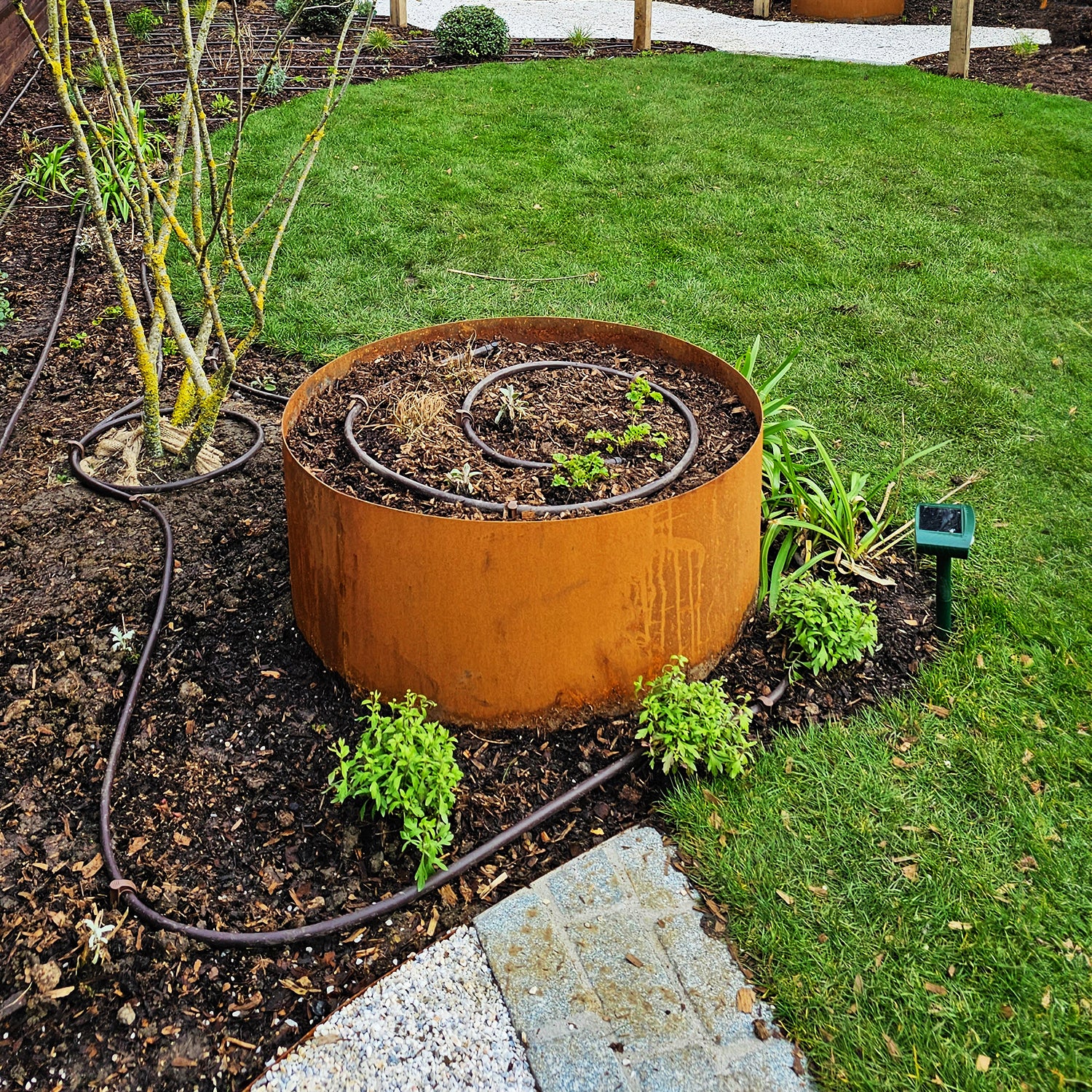 Bellamy Circular Rustic Steel Planter & Tree Ring - Image 28
