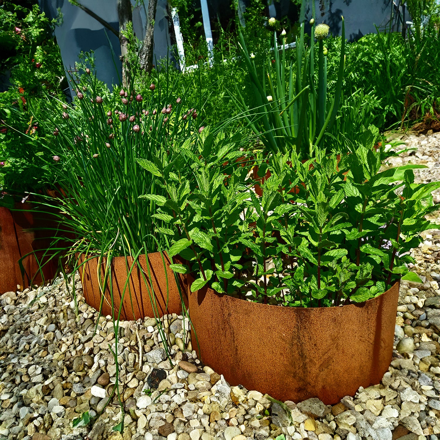 Bellamy Circular Rustic Steel Planter & Tree Ring - Image 30