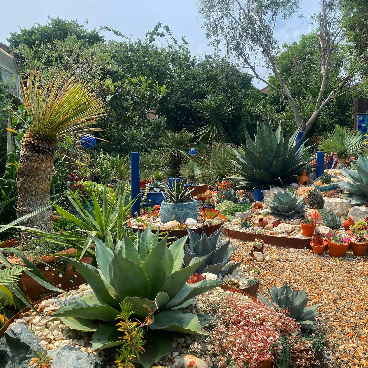 Bellamy Circular Rustic Steel Planter & Tree Ring - Image 9